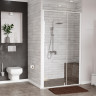 Душевая дверь WasserKRAFT Neime 120 19P05