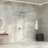 Душевая перегородка WasserKRAFT Vechte 120 60W40