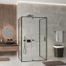 Душевой уголок WasserKRAFT Elbe 120x100 74P26