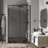 Душевая дверь WasserKRAFT Dill 120 61S05