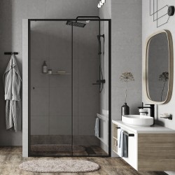 Душевая дверь WasserKRAFT Dill 100 61S12