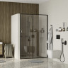 Душевая дверь WasserKRAFT Dill 110 61S13