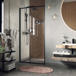 Душевая дверь WasserKRAFT Dill 110 61S13