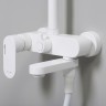 Душевая система WasserKRAFT Mindel A18501