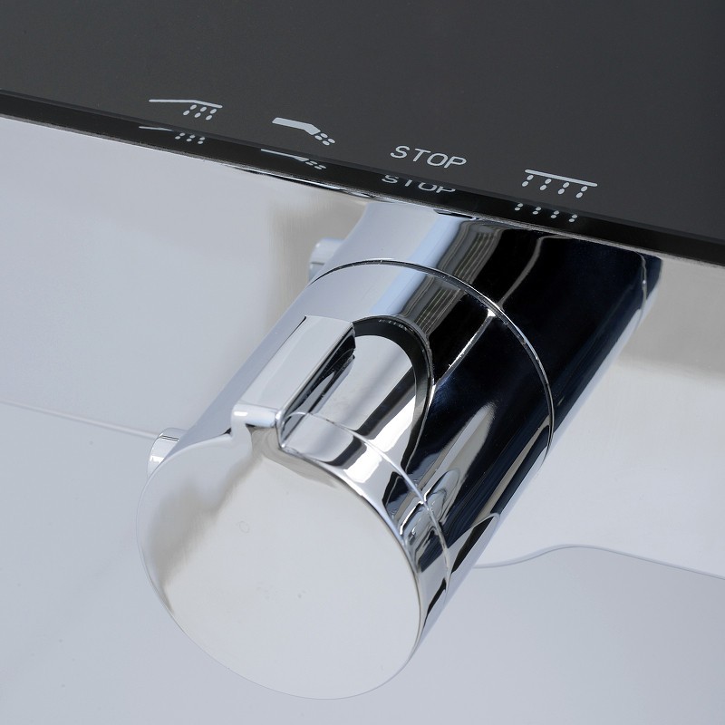 Душевая система WasserKRAFT Thermo A11401 с термостатом