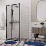 Душевой уголок WasserKRAFT Dill 100x100 61S19