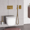 Смеситель для душа WasserKRAFT Aisch 5551