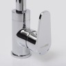 Смеситель для кухни WasserKRAFT Alz 28807