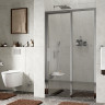 Душевая дверь WasserKRAFT Lopau 120 32S05R