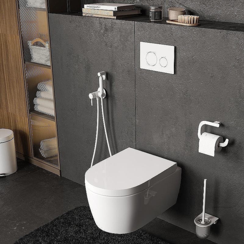 монтажная рама WasserKRAFT Dill 61TLT.010.ME.WM02 для унитаза
