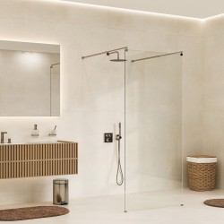 Душевая перегородка WasserKRAFT Vechte 110 60W46BN