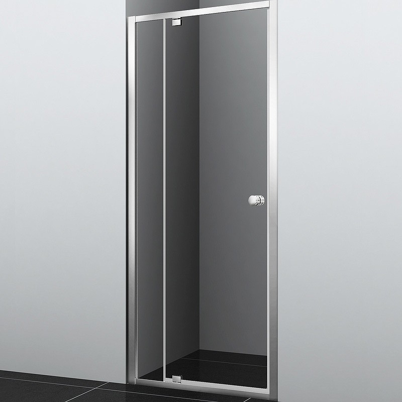 Душевая дверь WasserKRAFT Aula 100 11P12