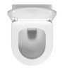 Унитаз WasserKRAFT Mindel H002.E034 подвесной