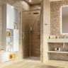 Душевая дверь WasserKRAFT Salm 80 27I27