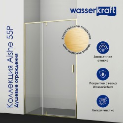 Душевая перегородка WasserKRAFT Aisch 100 55W44