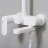 Душевая система WasserKRAFT A185.257.155.WM