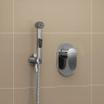 Гигиенический душ WasserKRAFT A11057